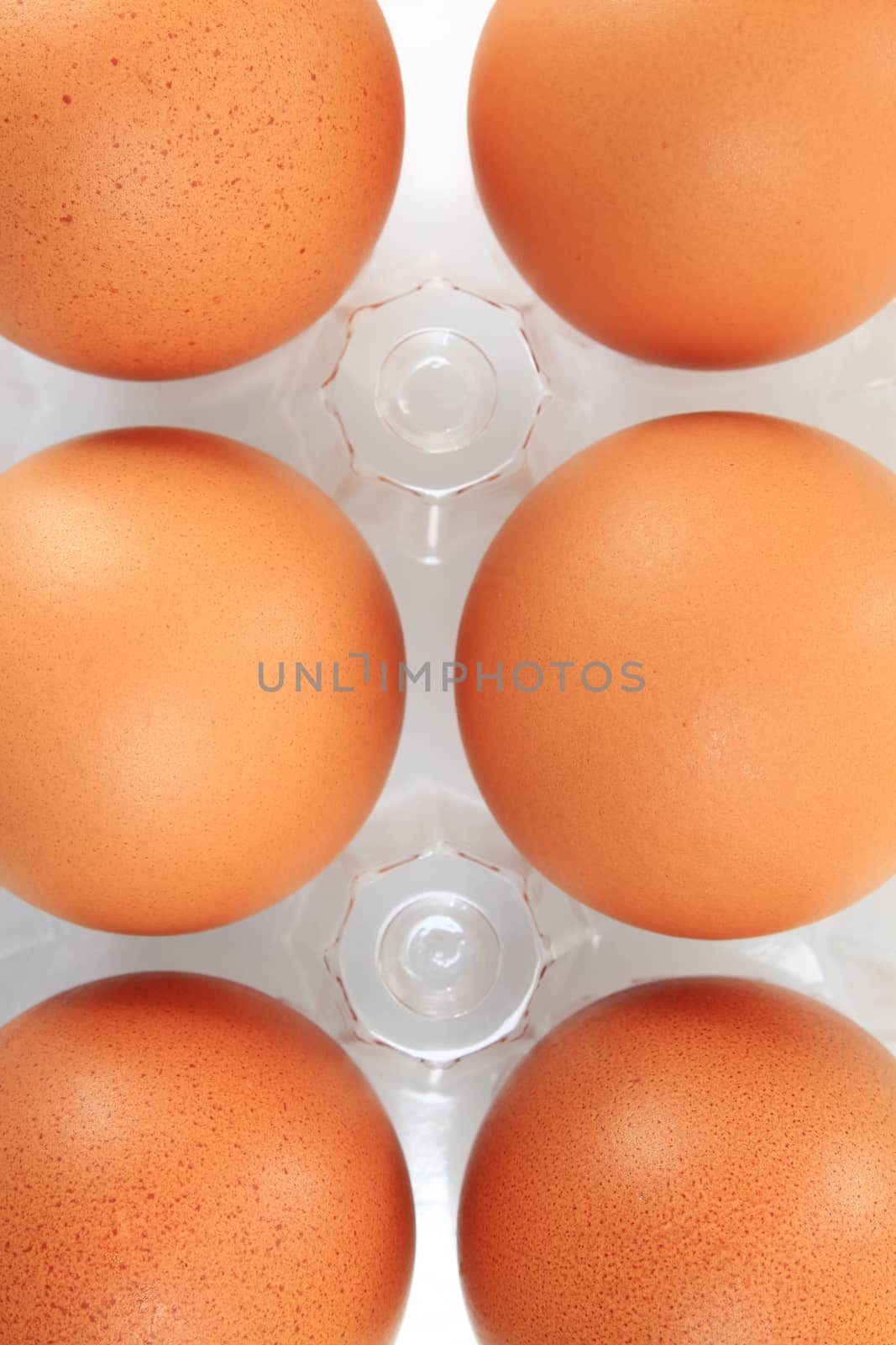 Eggs packed by foto76