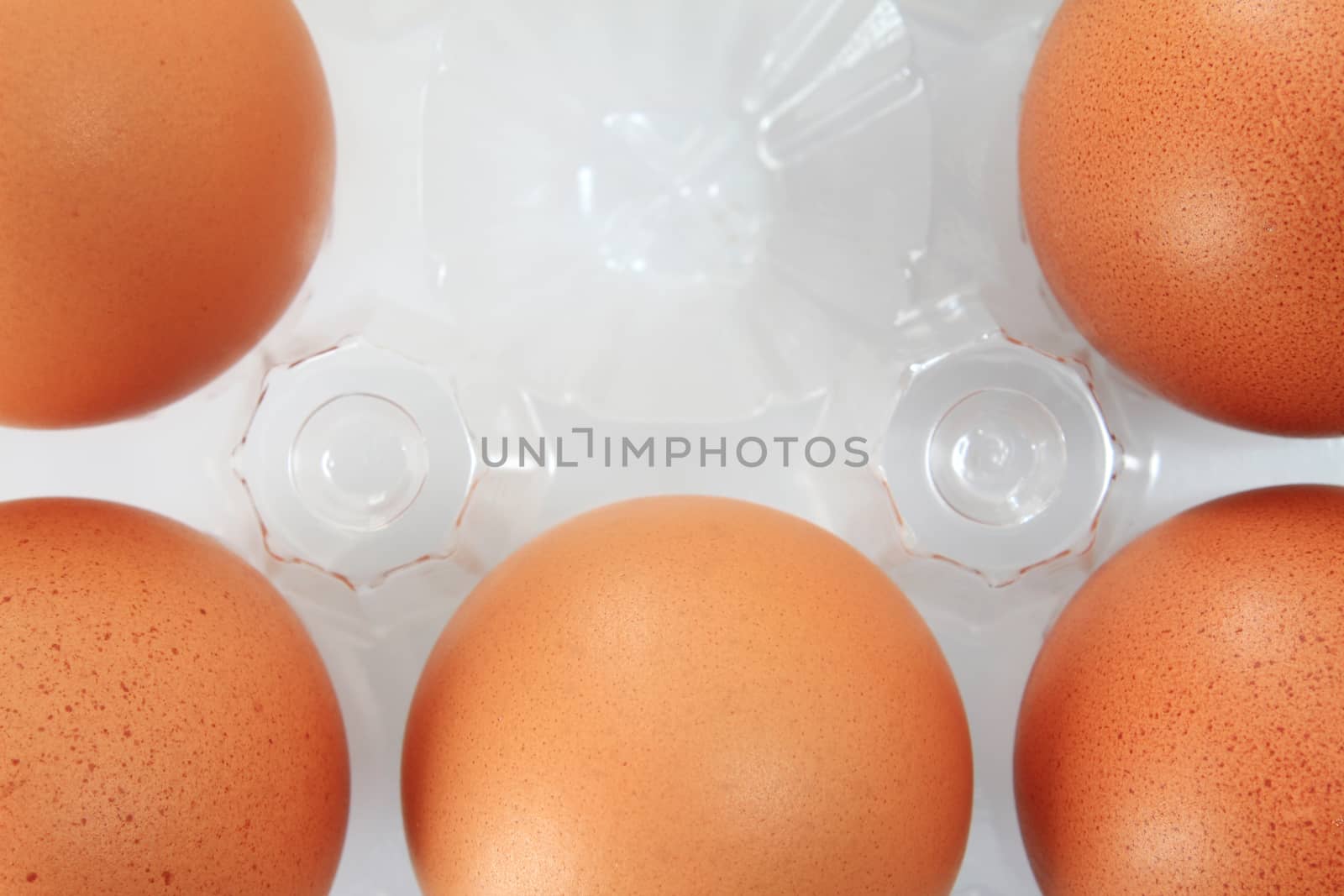 Eggs packed by foto76