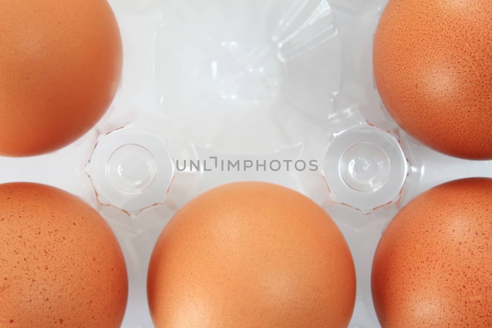 Eggs packed