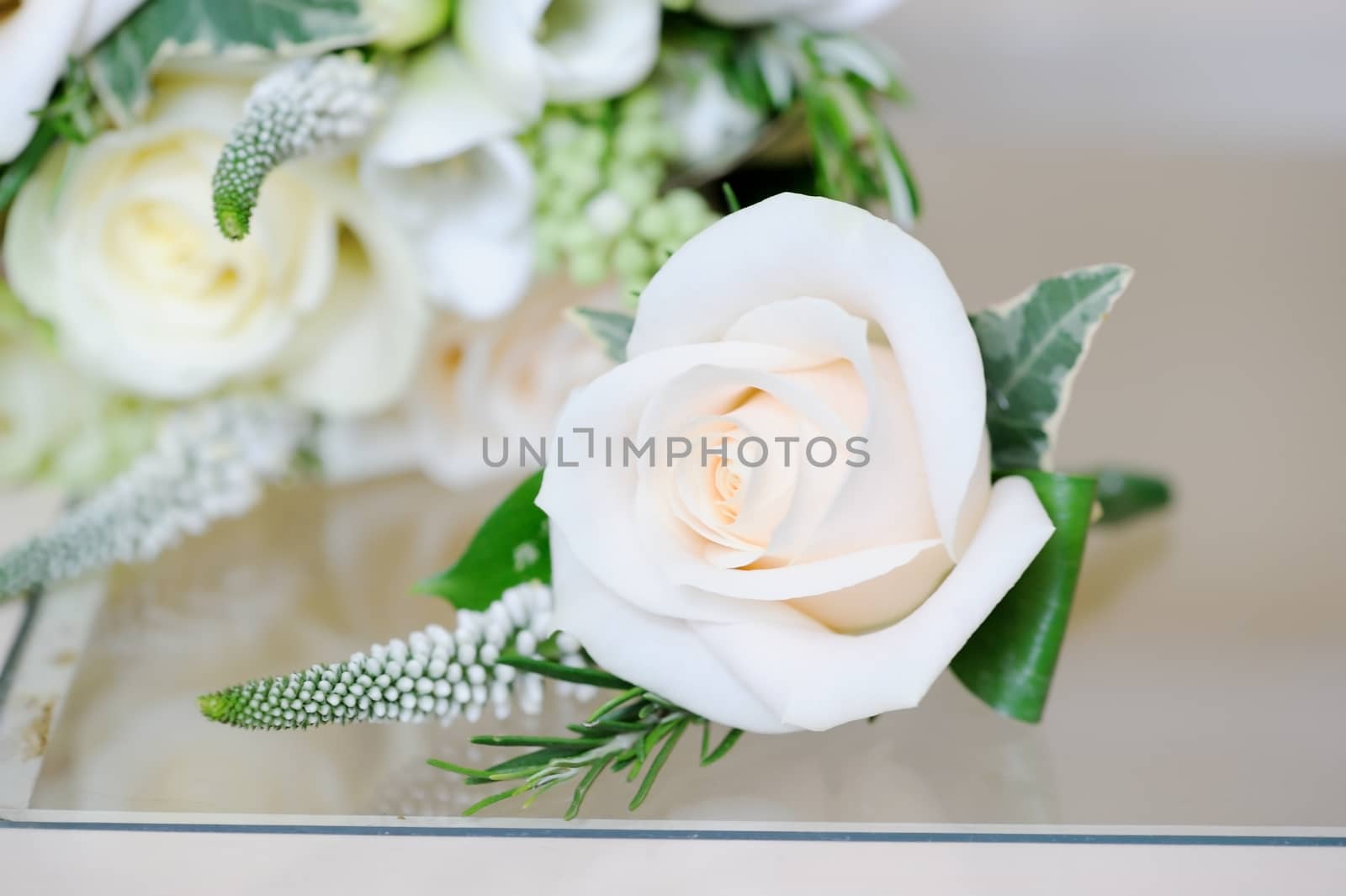Wedding day, grooms buttonhole flower closeup is white rose
