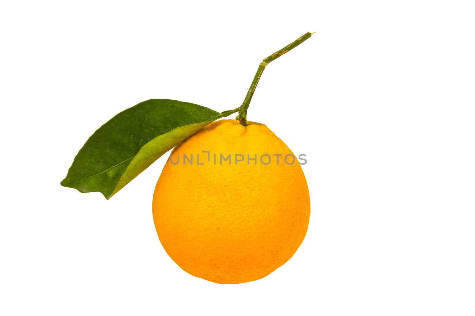 Citrus fruit isolated on white background