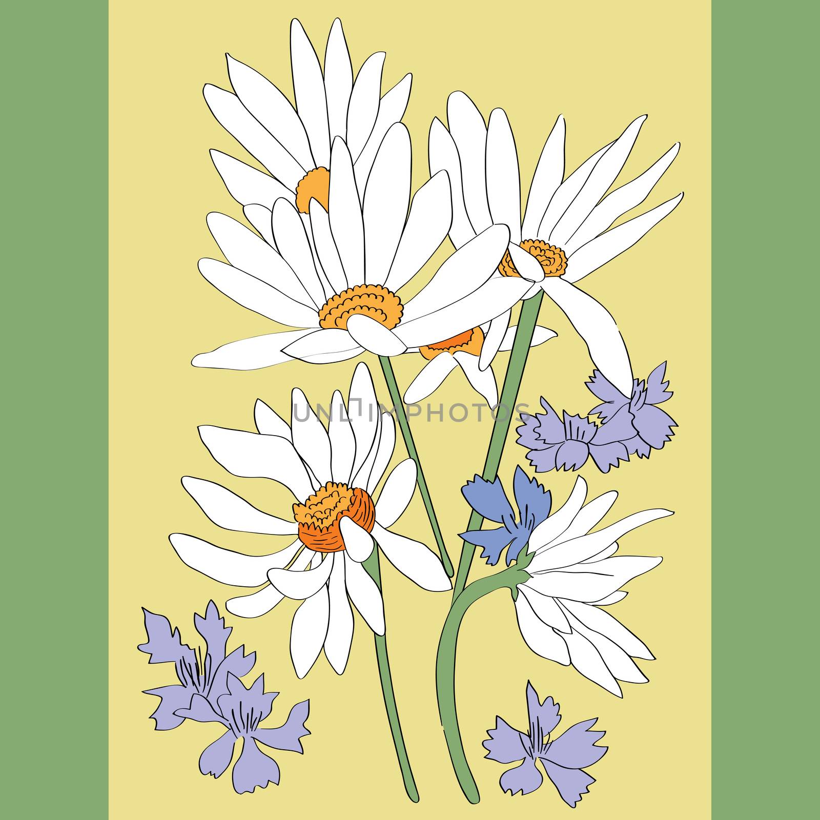 Hand drawn illustration of a greeting card with daisies and cornflowers over a colored background