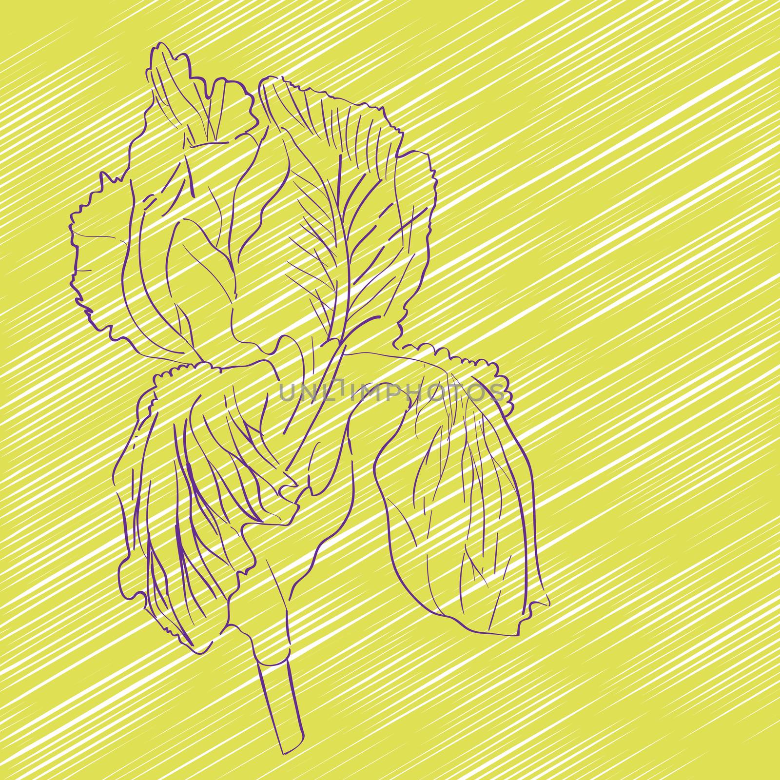 Hand drawn sketch of an iris flower over a dark yellow background, greeting card