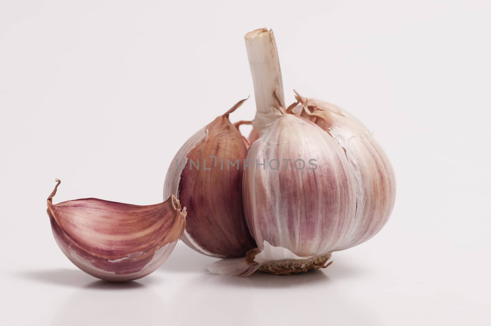 A garlic bulb and a individual clove isolated on white background