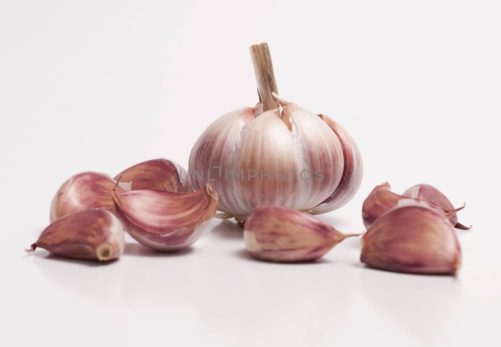 Garlic Bulb and a Individual Cloves by rodrigobellizzi