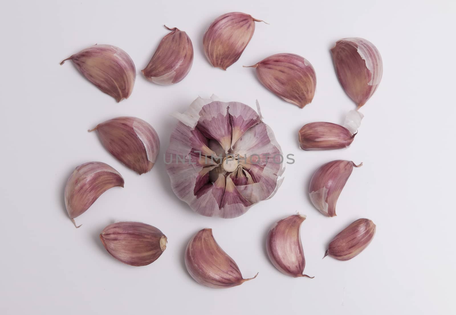Garlic Bulb and a Individual Cloves by rodrigobellizzi