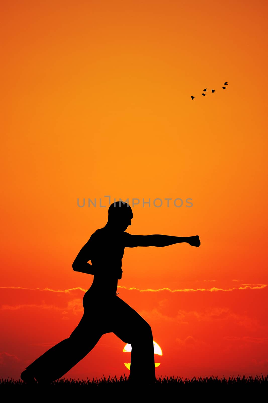 illustration of judo at sunset