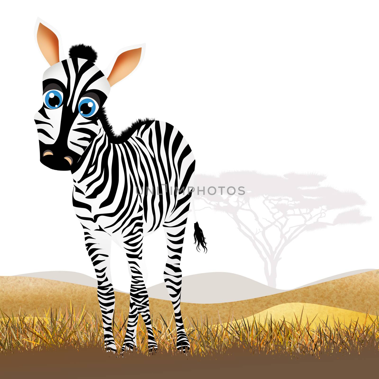 illustration of zebra in African landscape