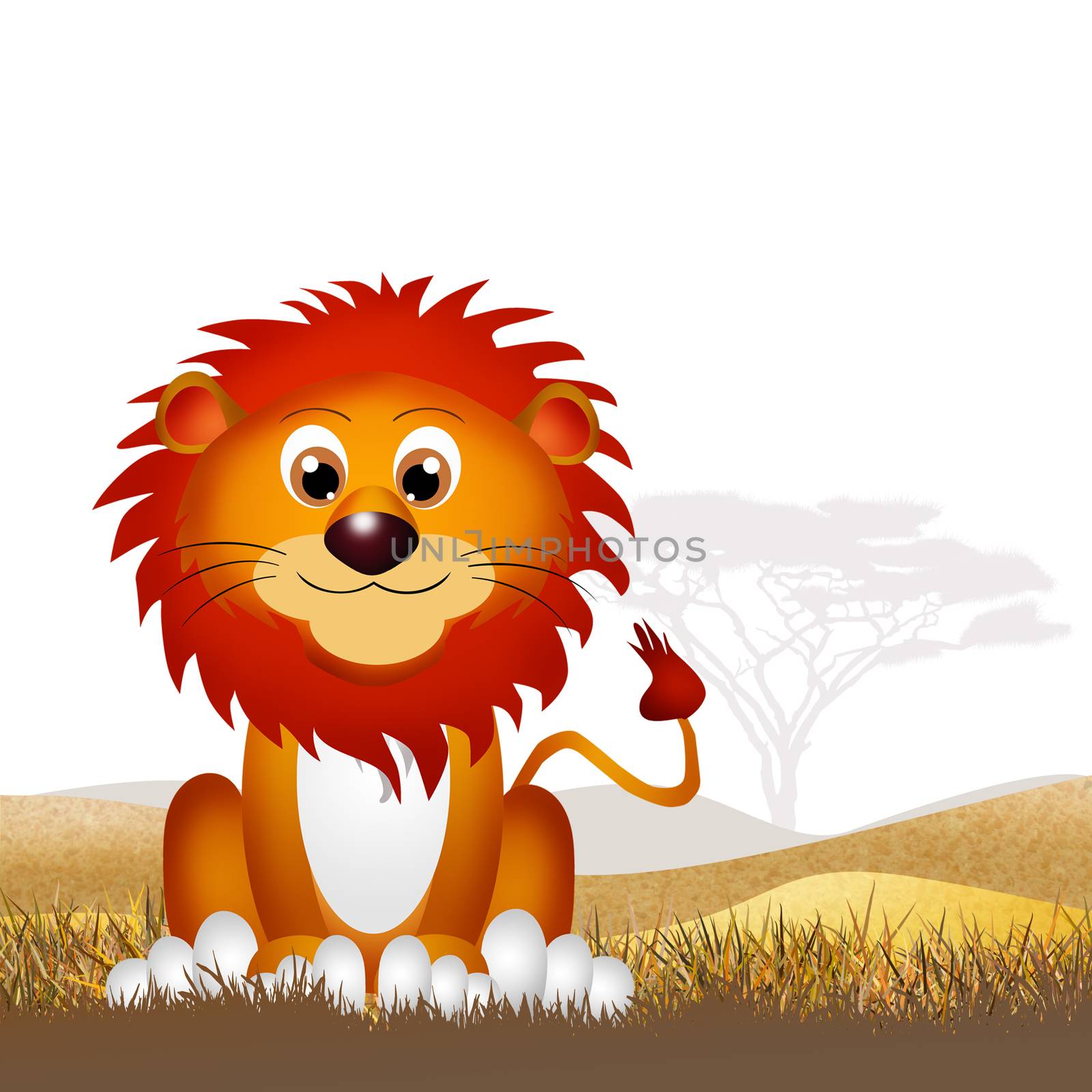 illustration of lion