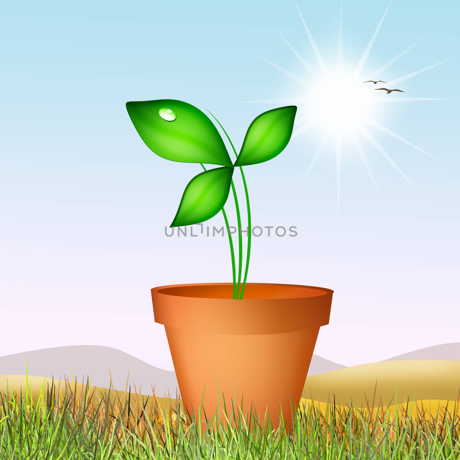 illustration of watering the plant