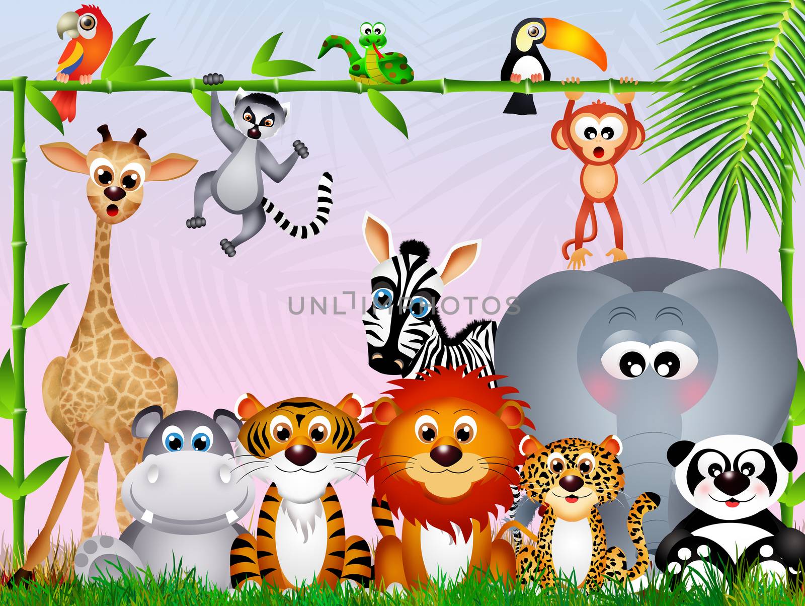 illustration of jungle animals