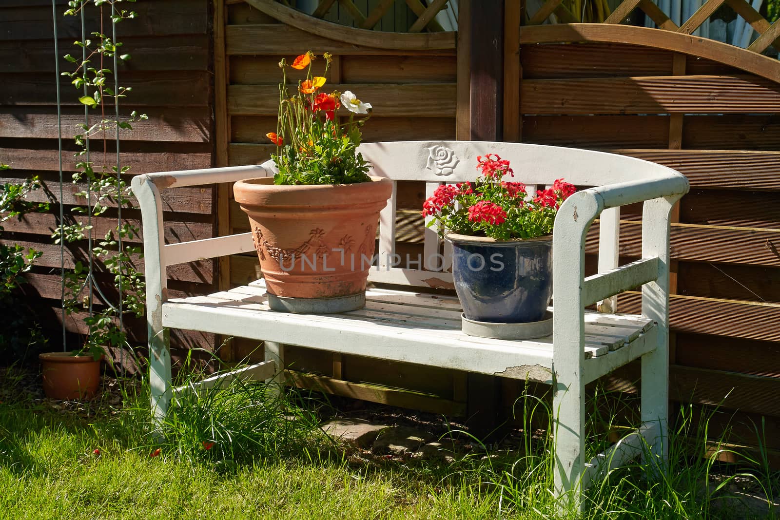 Garden bench with beautiful blooming summer flowers                               