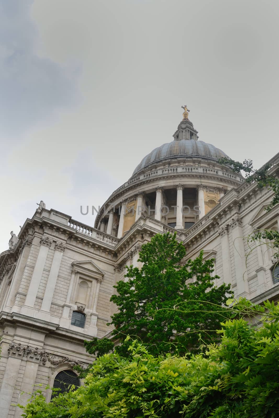 St Pauls l with tree by pauws99