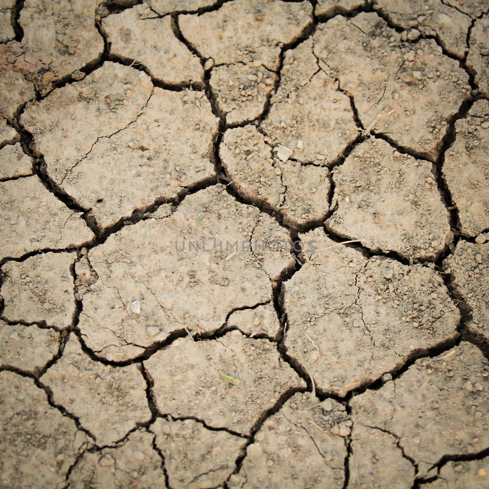 Dried cracked earth soil by liewluck