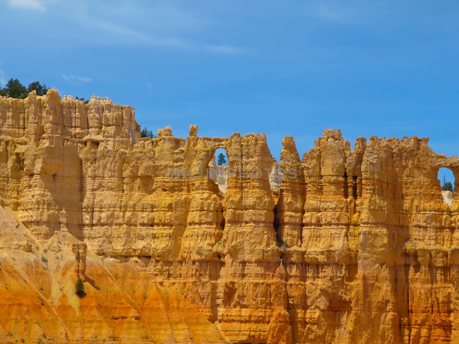 Sandstone columns of Bryce Canyon (Utah, USA)