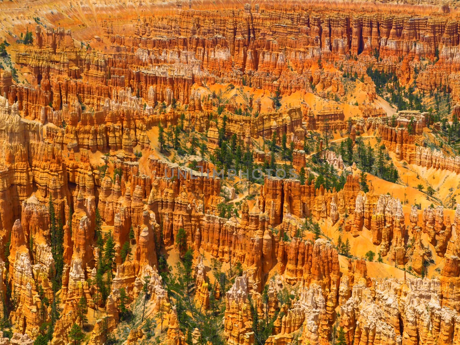 Colorful rock formations in Bryce Canyou (Utah, USA)