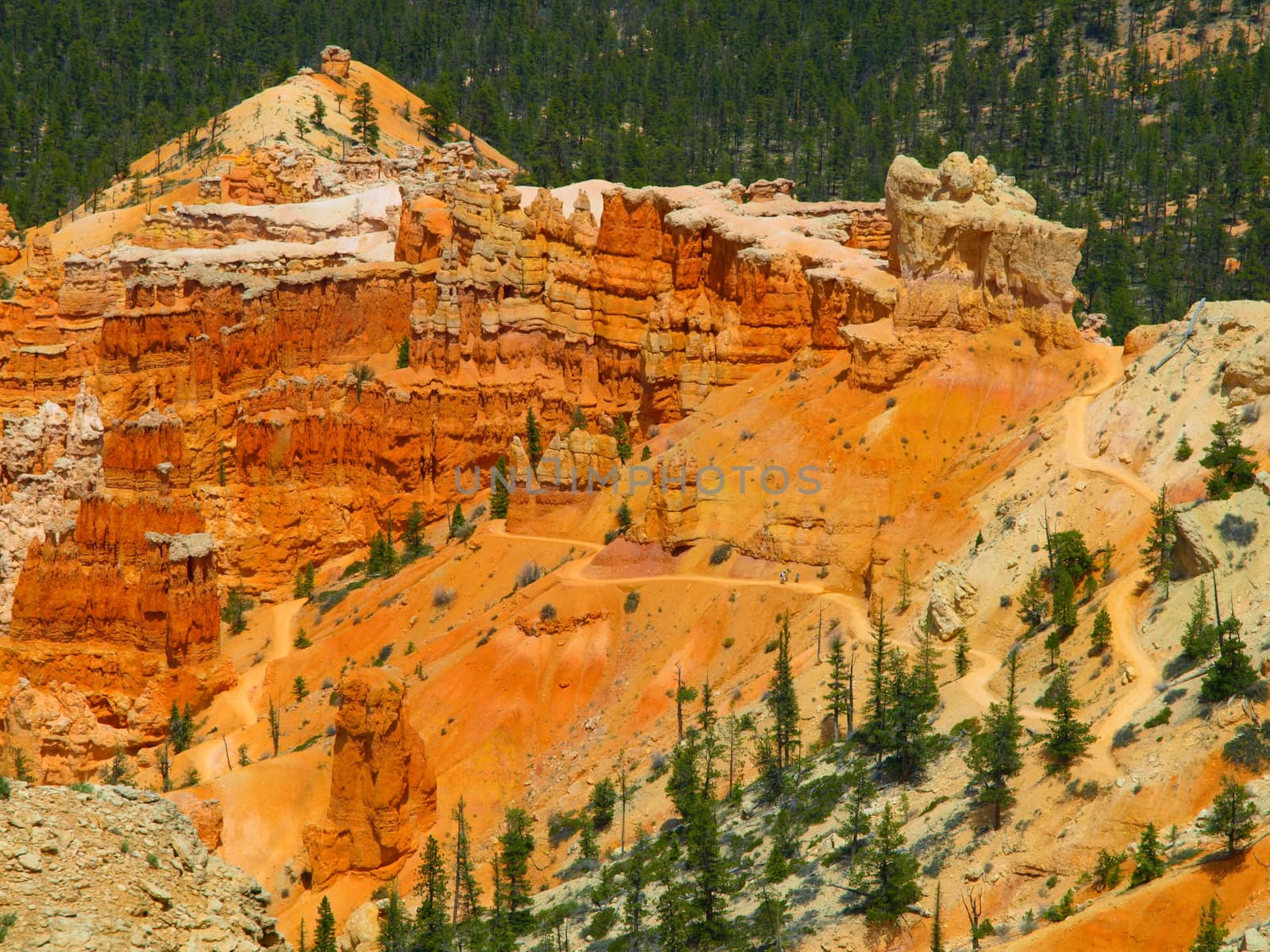 Colorful rock formations in Bryce Canyou (Utah, USA)