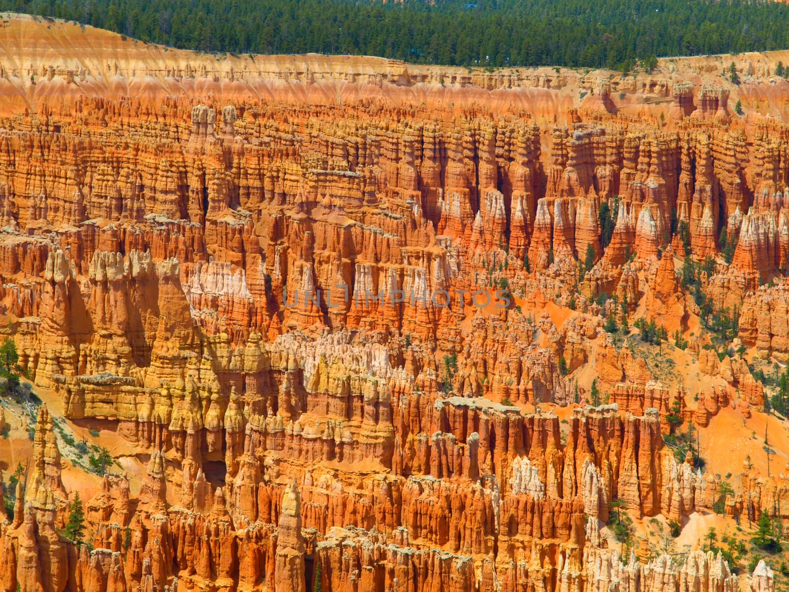 Bryce Canyon by pyty