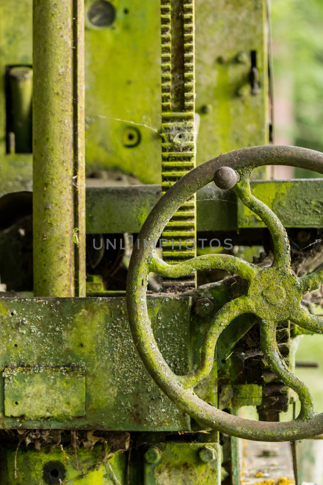 Green lichen covered farm machinery abandoned in forest with turning handle and cogs and gears