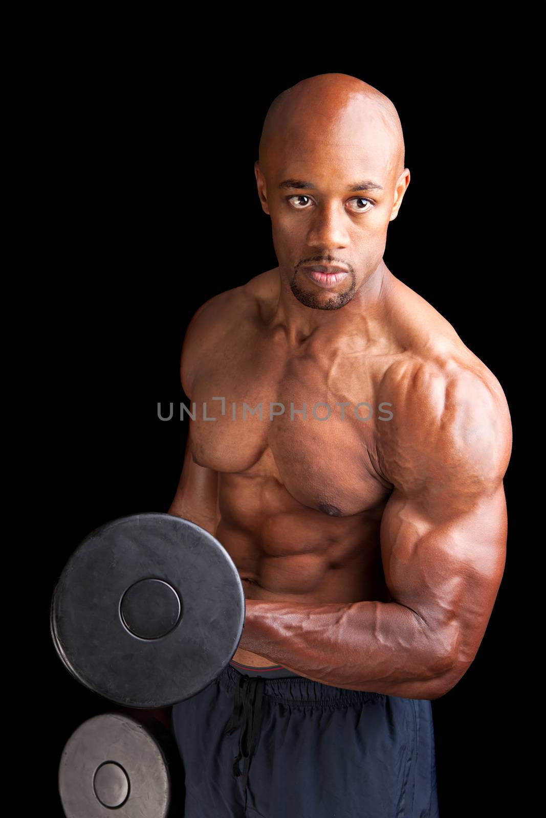 Toned and ripped lean muscle fitness man lifting weights on a curling bar.