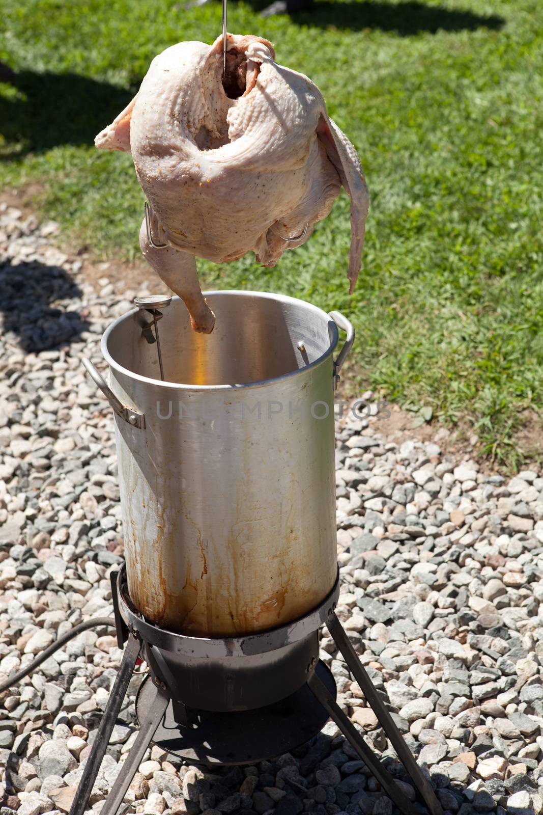 Raw turkey about to be carefully dropped into the outdoor propane frier pot.