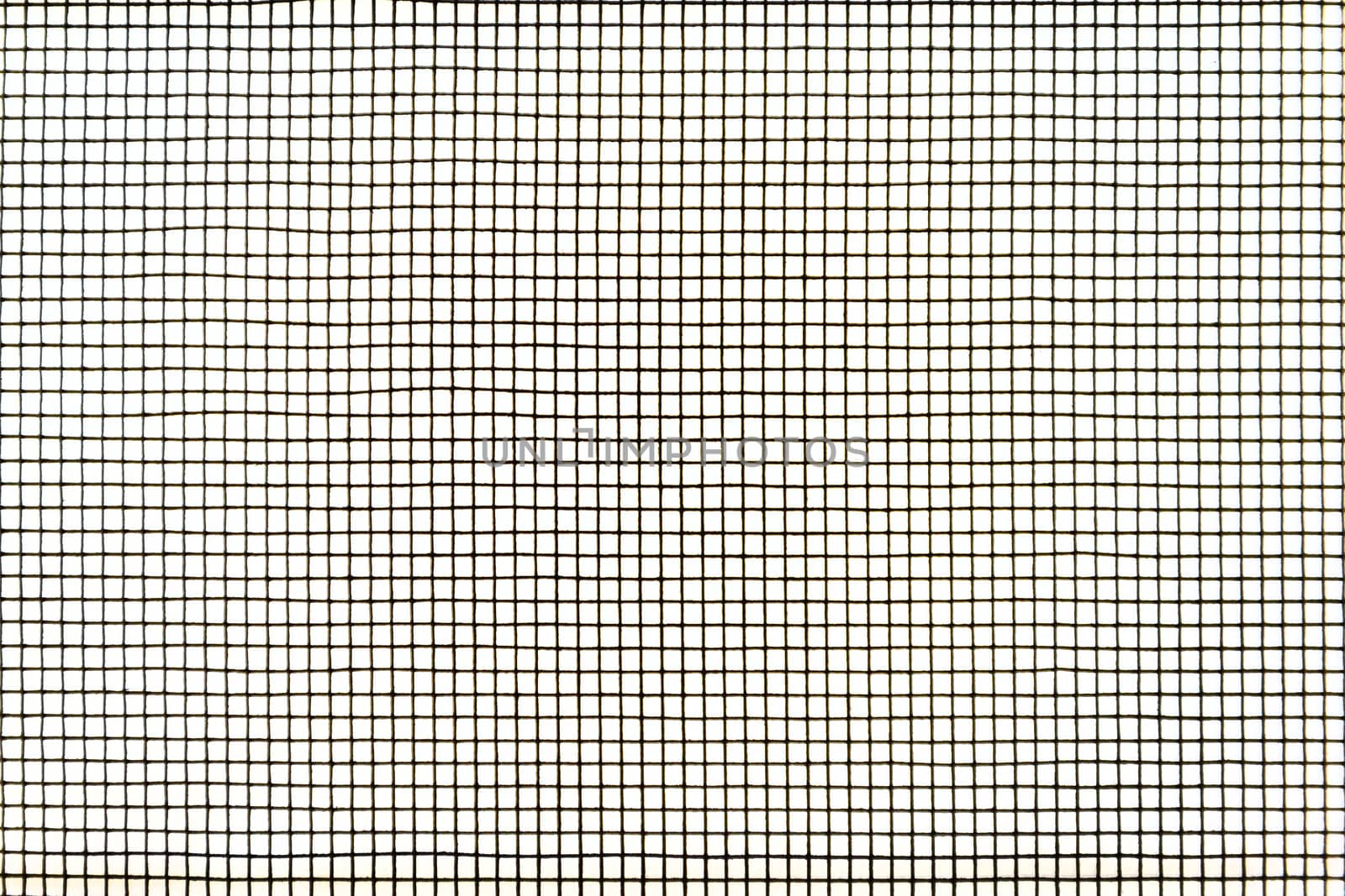 Mosquito wire screen texture on the window