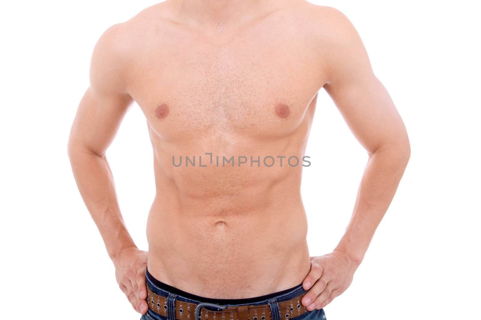 young sensual man body detail, isolated