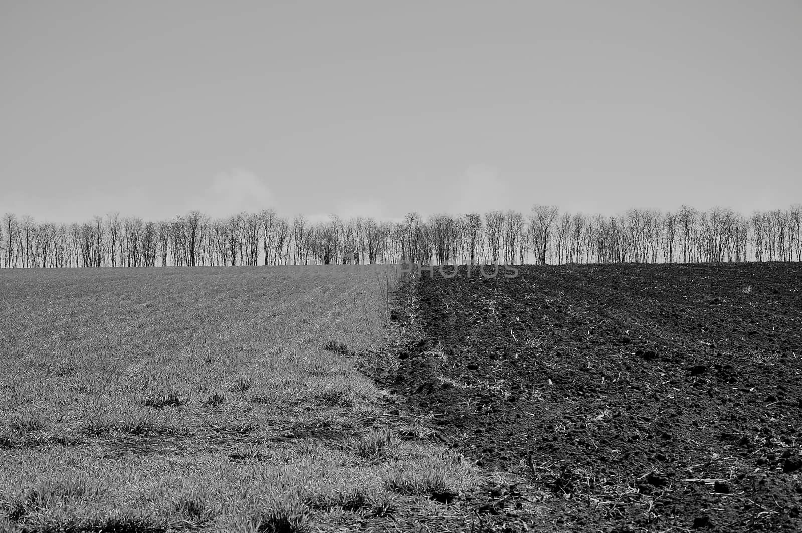 Industrial agriculture on plateau of Kaliakra in Bulgaria