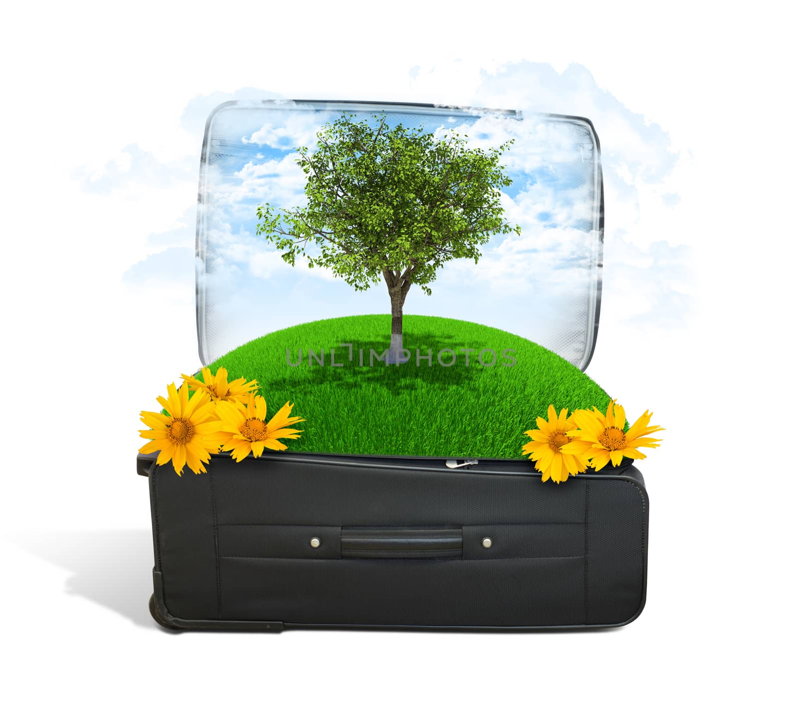 Earth with trees and green grass in travel bag by cherezoff