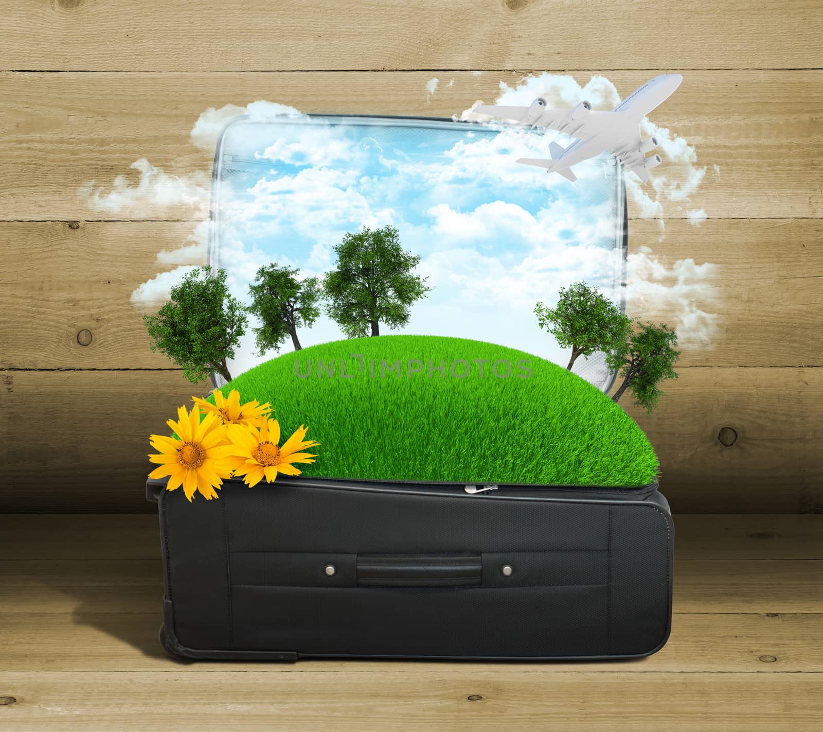 Earth with trees and green grass in travel bag by cherezoff