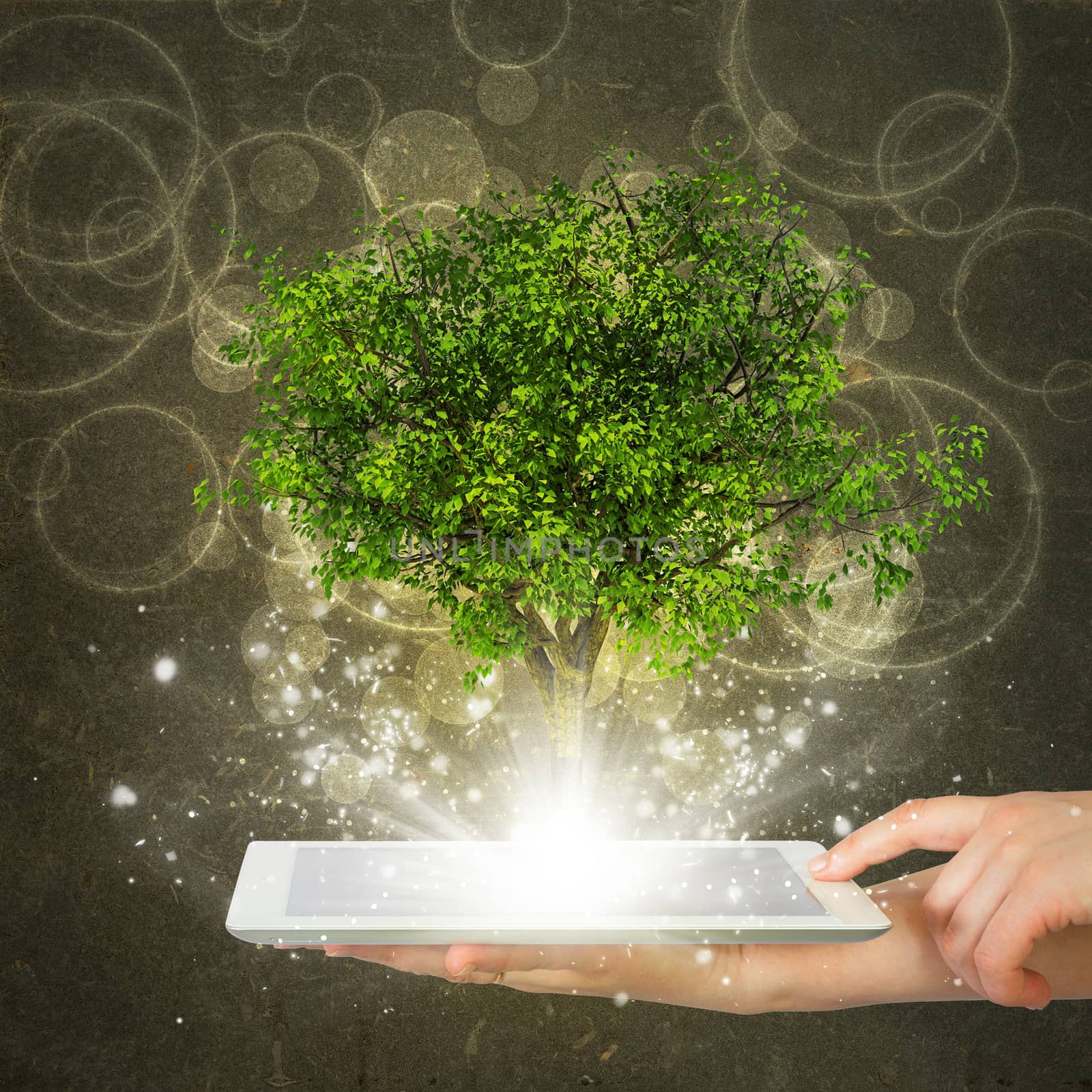 Hand hold tablet pc with magical green tree and rays of light on dark background