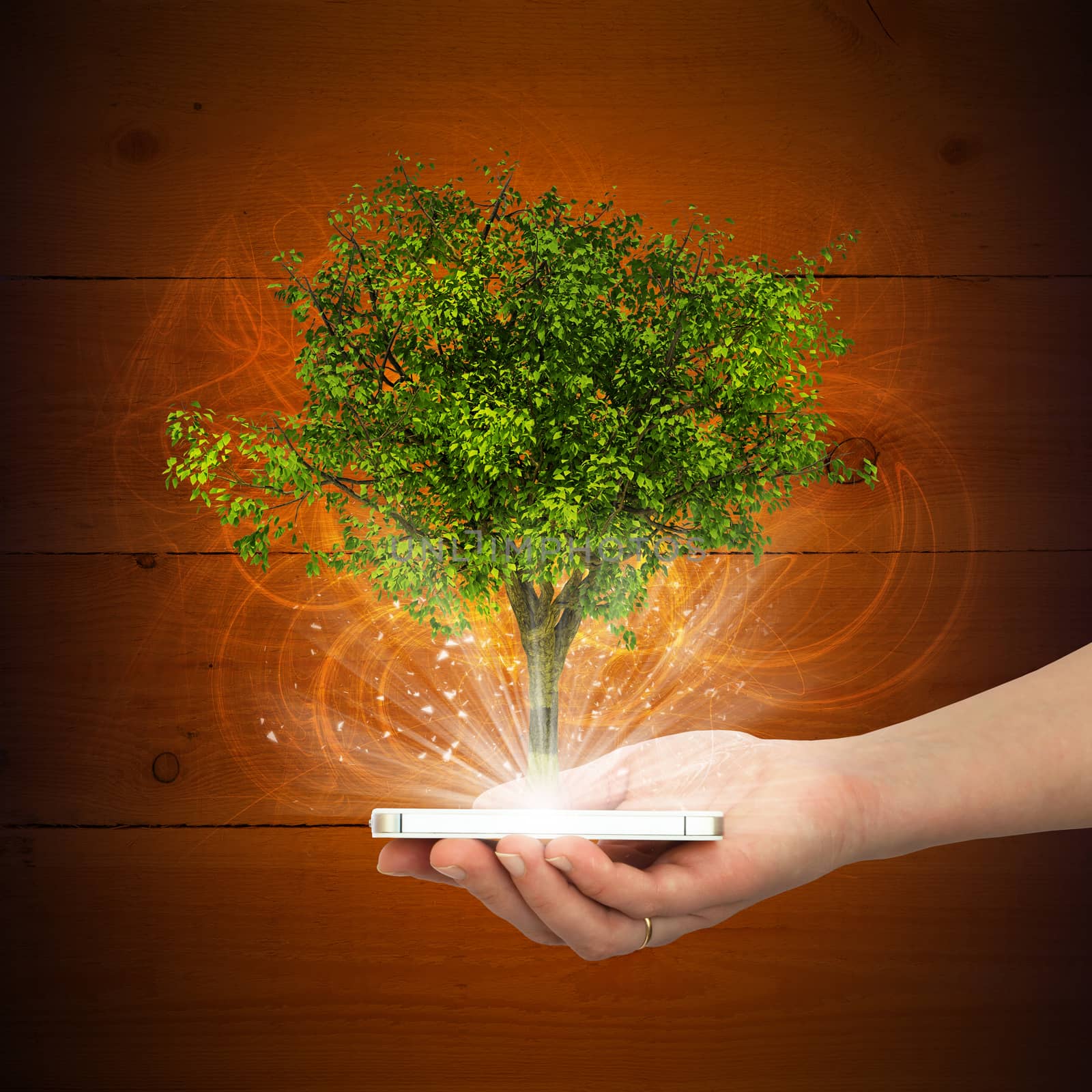 Hand hold smart phone with magical green tree and rays of light on dark background