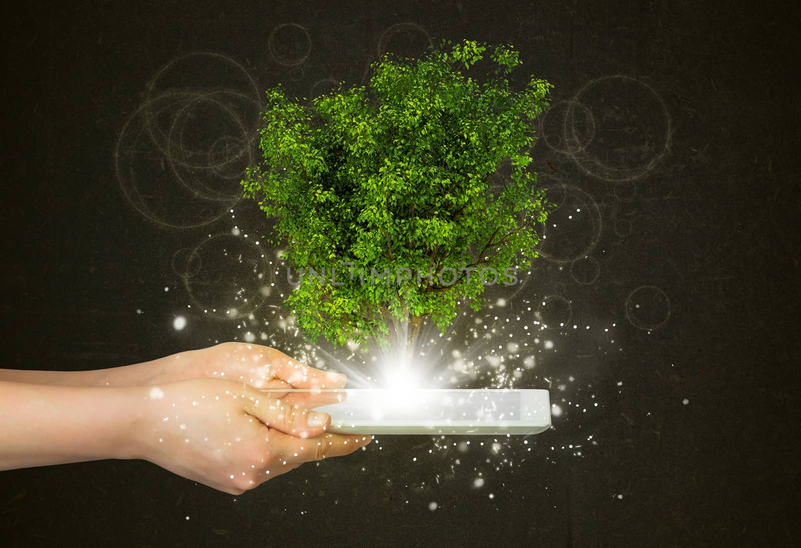 Hand hold tablet pc with magical green tree and rays of light on dark background