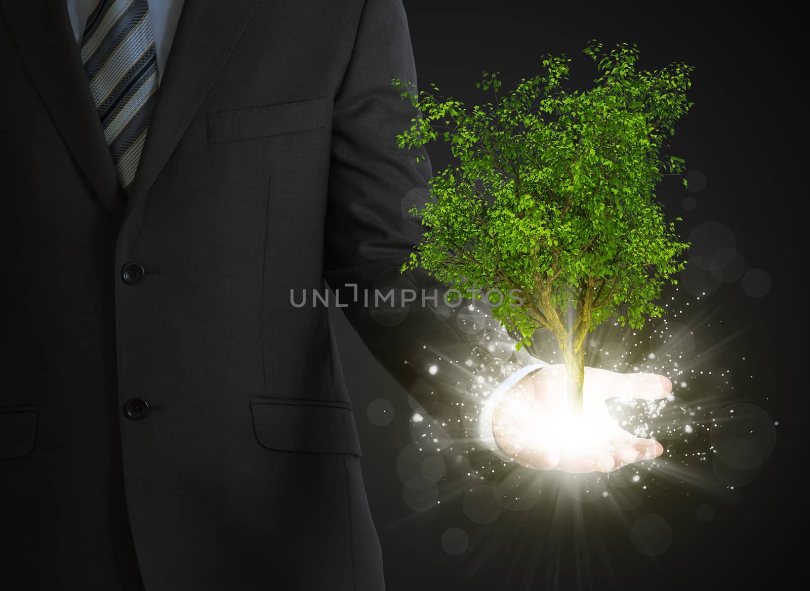 Businessmen hold magical green tree and rays of light on dark background