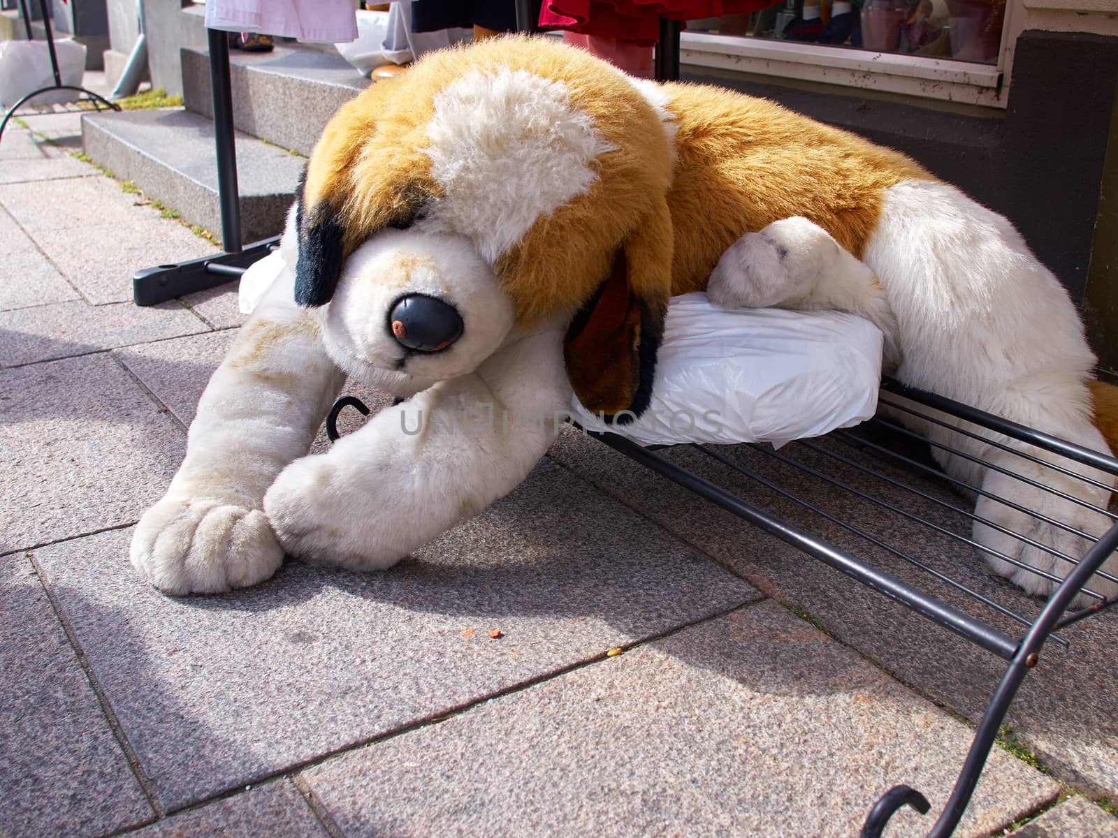 Cute dog doll toy on a sidewalk street