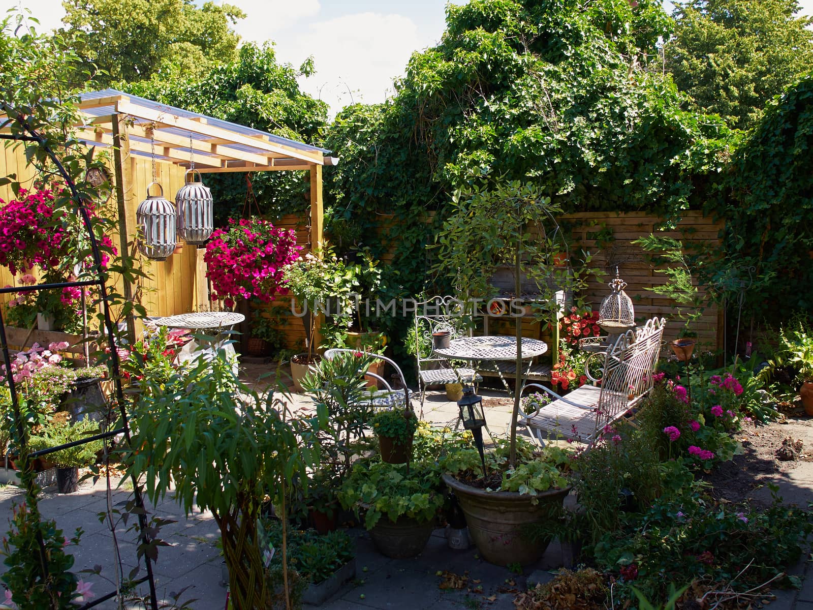 Attractive Blooming Country Style English UK Garden       