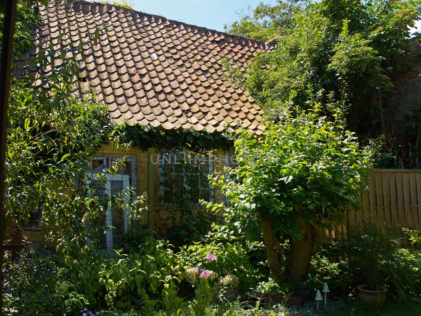Attractive Blooming Country Style English UK Garden