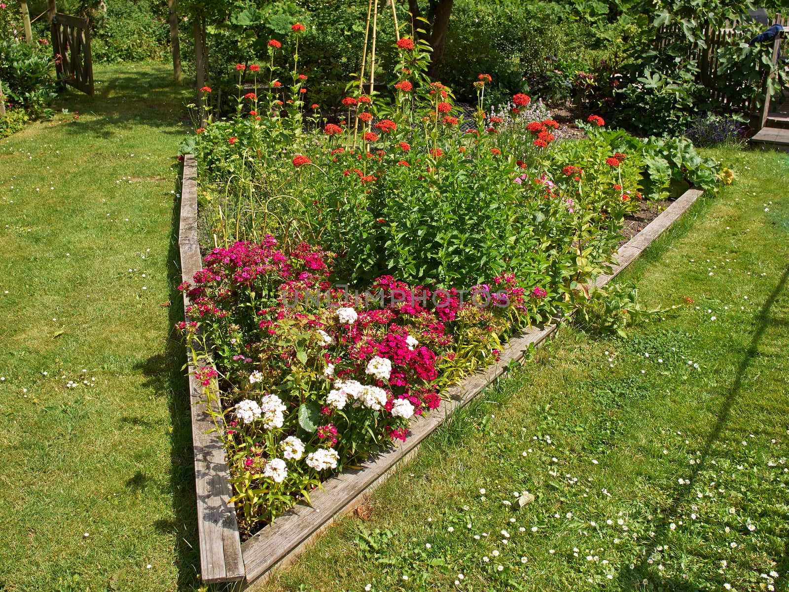 Delightful blooming flower bed in a back yard garden
