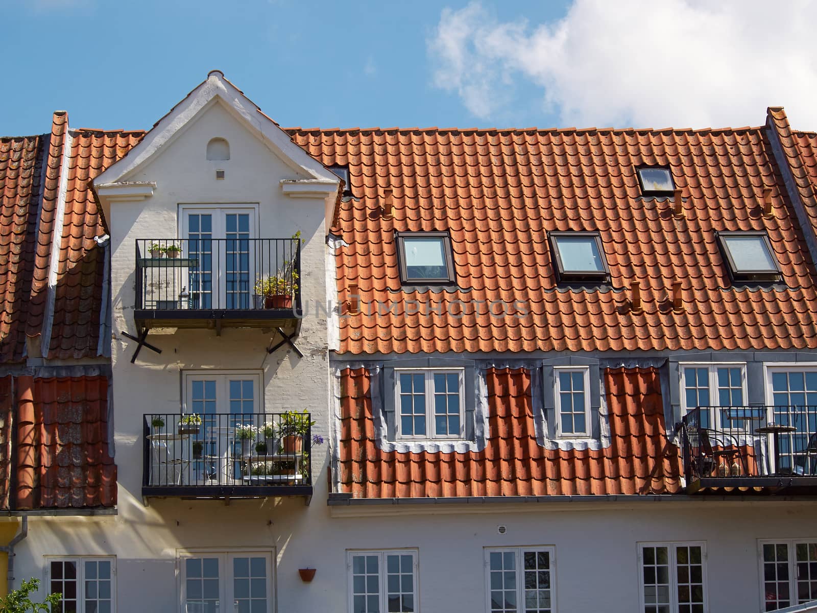 Colored traditional Danish houses by Ronyzmbow