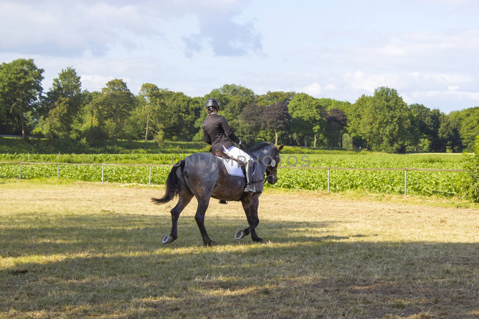 young girl riding a horse outdoors  by miradrozdowski