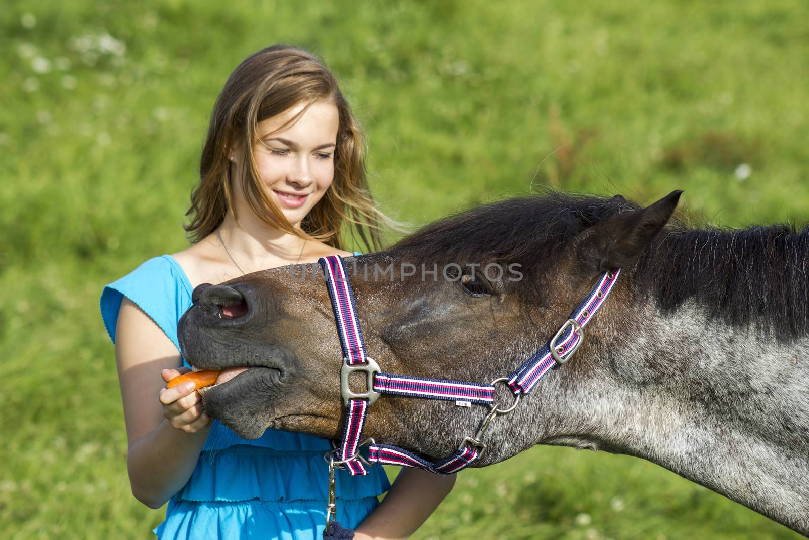 young girl giving a carrot to her horse by miradrozdowski