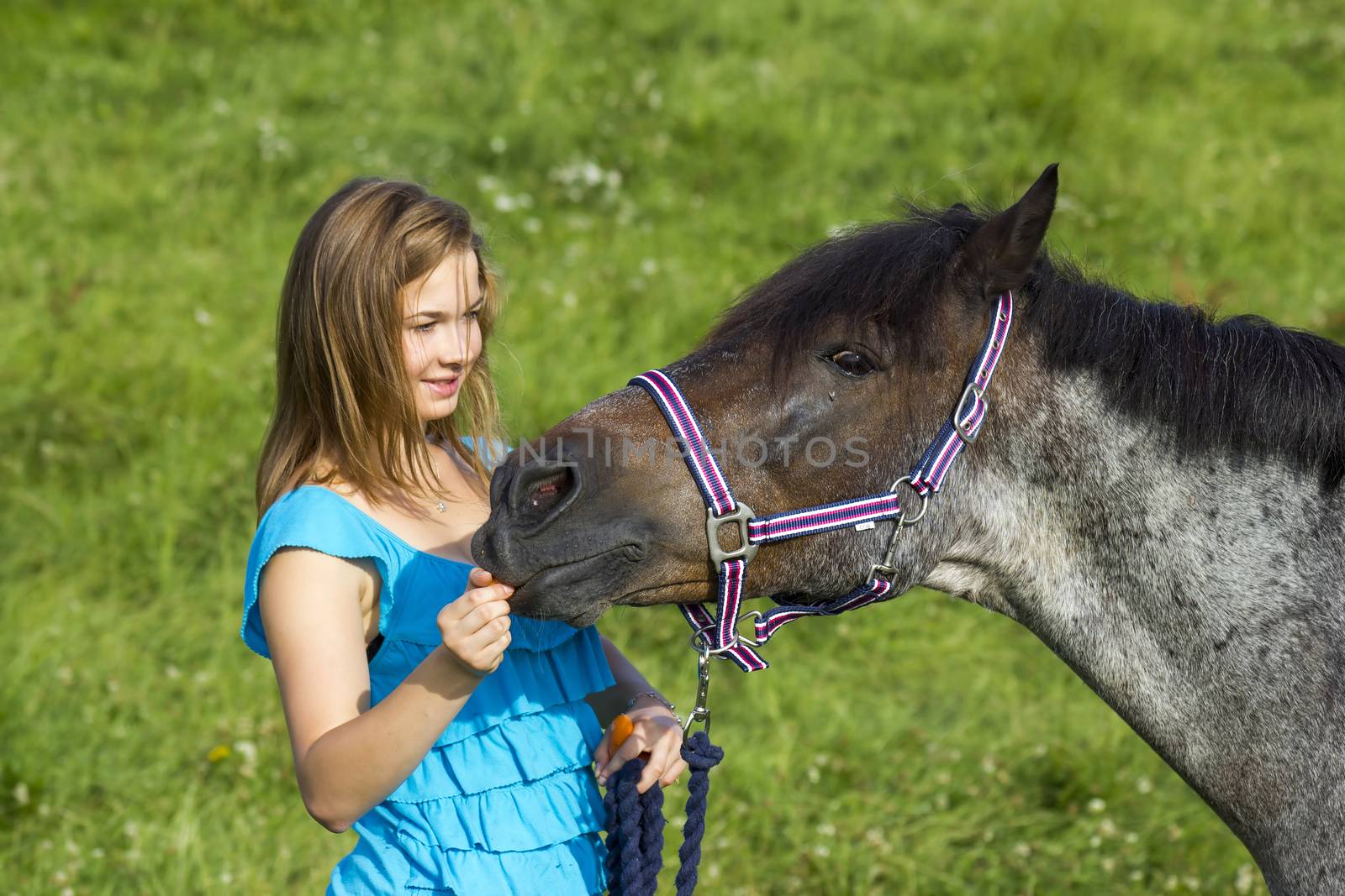 young girl giving a carrot to her horse by miradrozdowski