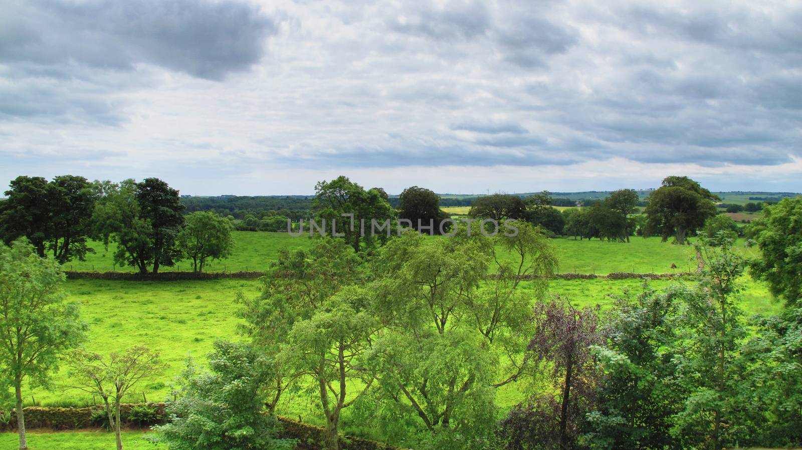 Scottish landscape in Aberdeenshire by mitzy