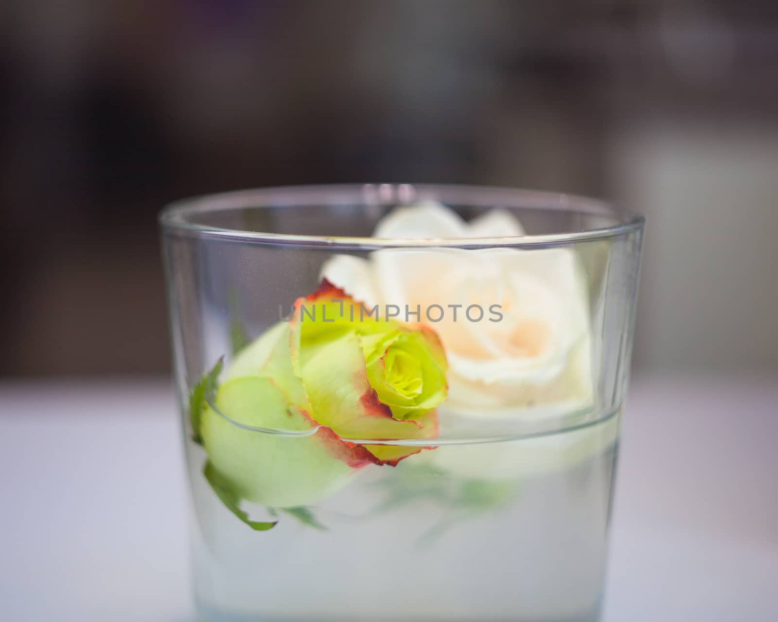Close up of two reses inside the glass