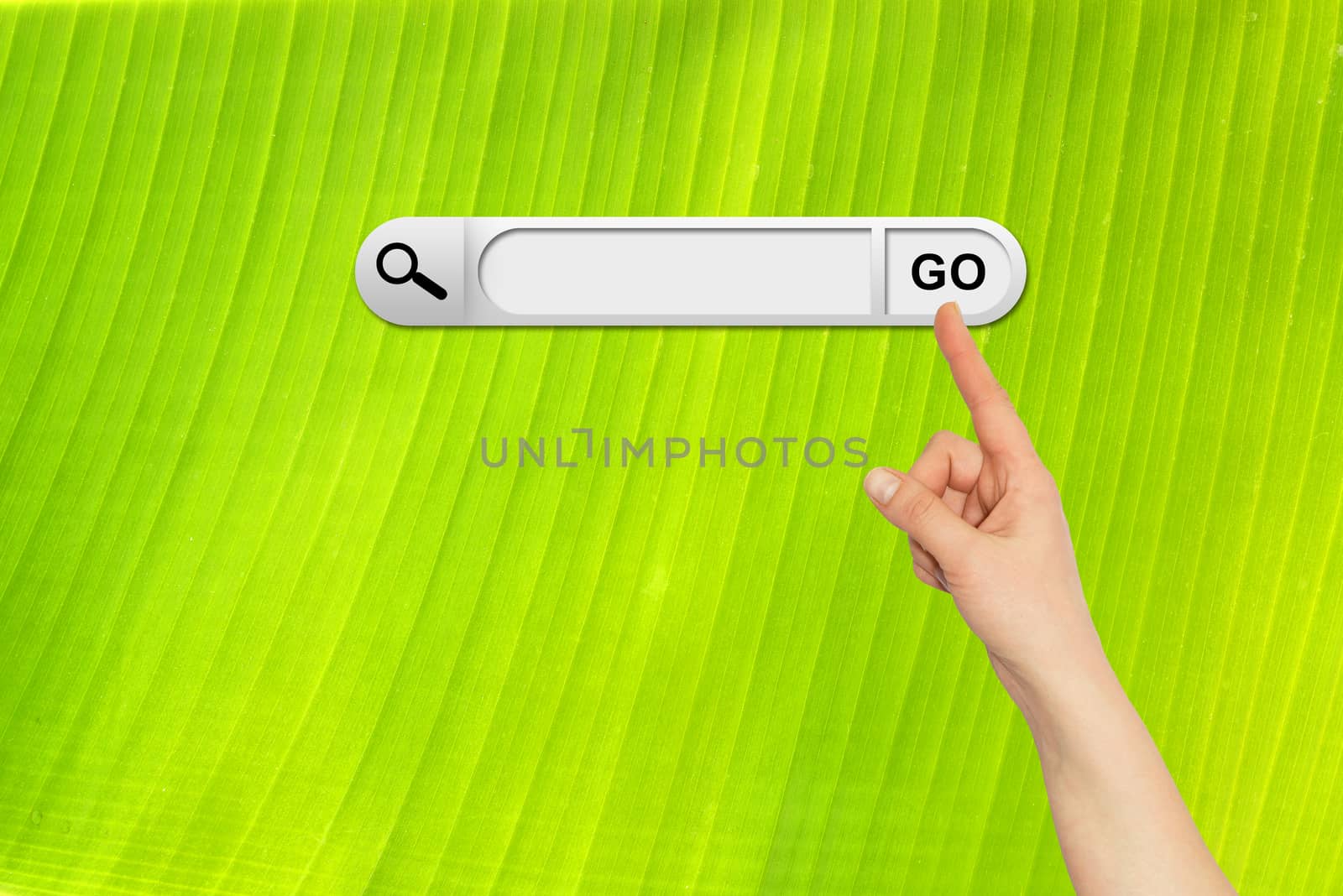 Human hand indicates the search bar in browser. Backlit fresh green palm leaf on background