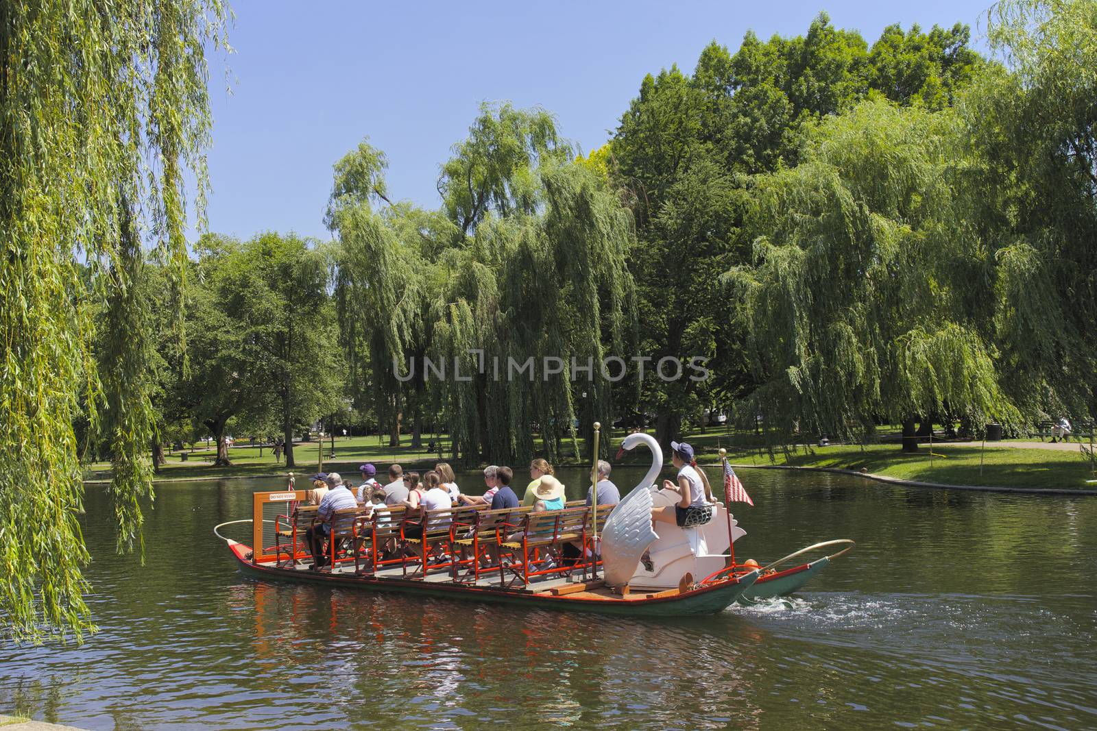 Boston Public Garden and sightseeing tourist on the famous Swan boats in Central Boston, Massachusetts, USA.