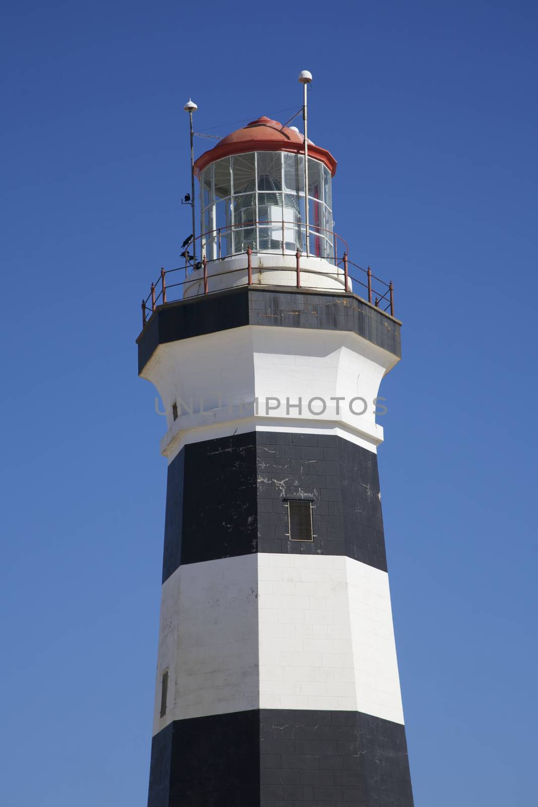 Black and White Lighthouse Called Cape Recife Lighthouse Build in 1849 Port Elizabeth South Africa