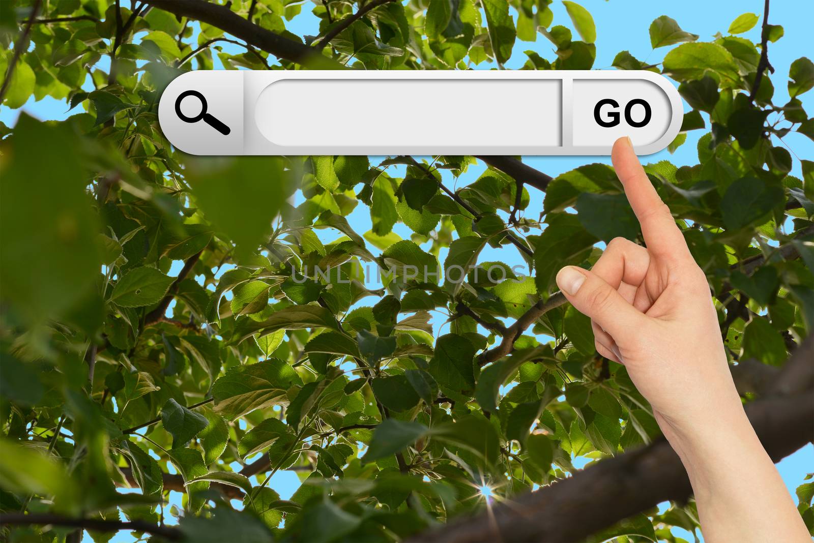 Human hand indicates the search bar in browser. Green leaves and brown branches of tree on background