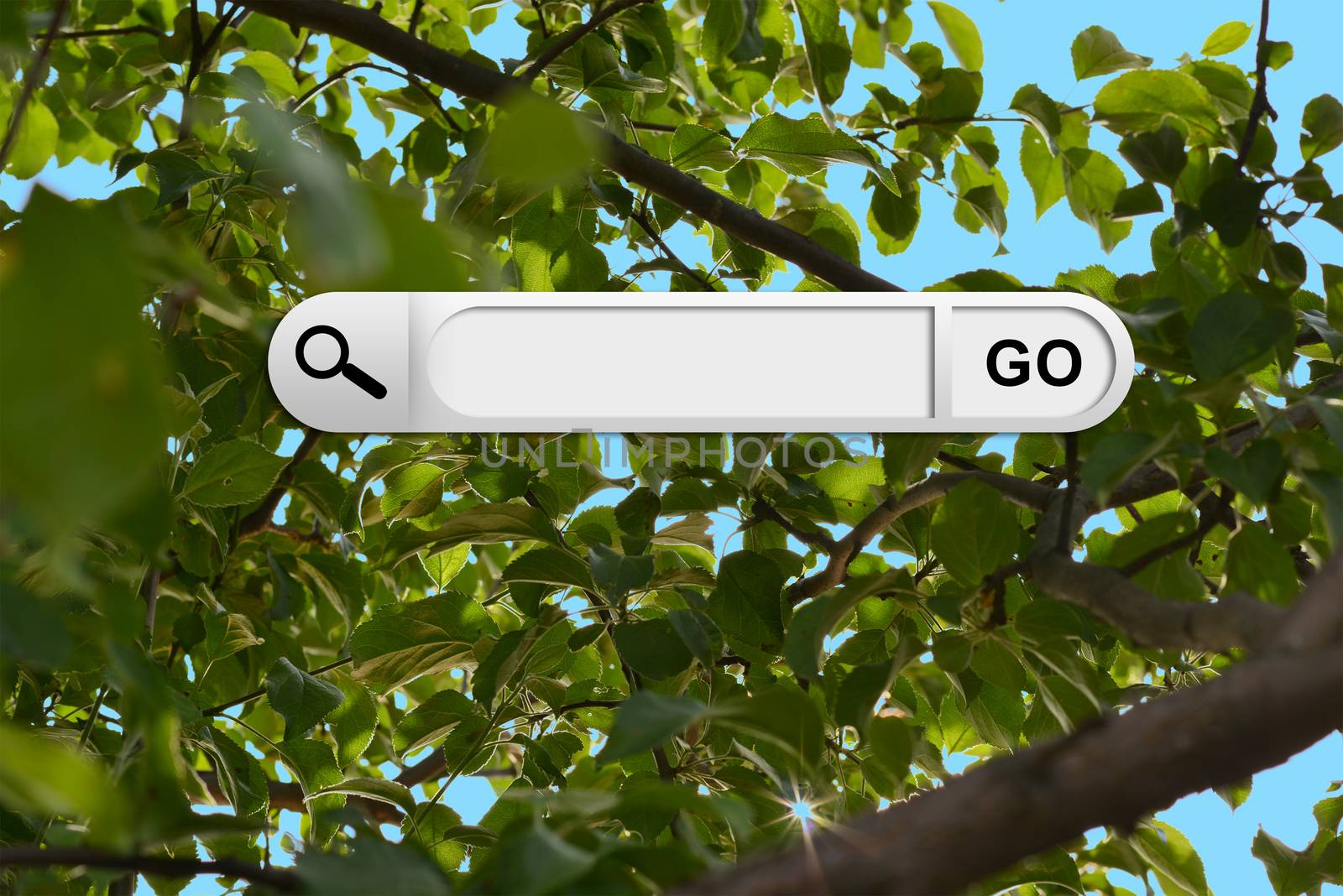 Search bar in browser. Green leaves and brown branches of tree on background