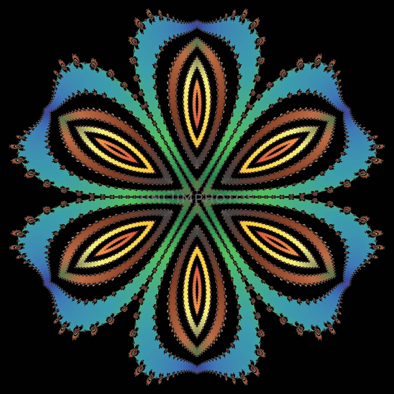 Digital computer graphic - patterned fractal flower on a black background for design.